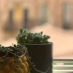 Lejlighed Terrazza Sul Mercato. Your House In Ballaro