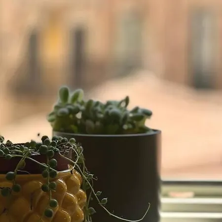 아파트 Terrazza Sul Mercato. Your House In Ballaro